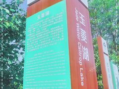 -东郊湿地公园