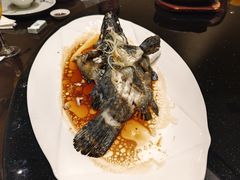 -渔人码头(中南店)
