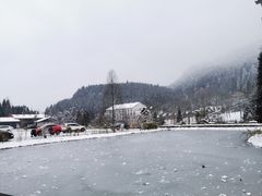 -武陵山森林公园