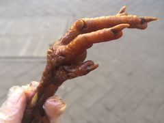 -鸡脚旮旯平江路店