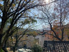 -塔川景区