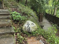 -黄葛古道