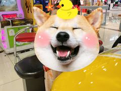 -翠微百货(龙德店)