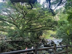 -广州市石门国家森林公园