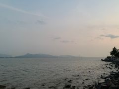 -深圳湾公园(南山区)