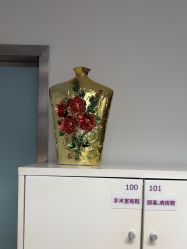 -深圳美莱医疗美容医院