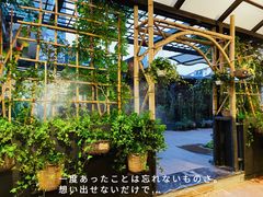 -山壹竹庭院餐厅