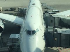 -德国汉莎航空