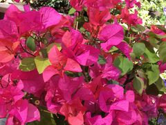 -Wagas沃歌斯(大学路店)