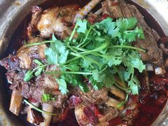 -友乐居羊蝎子(西直门店)
