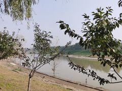 -洨河生态公园