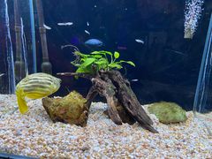 -卡朋西餐(悦汇城店)