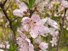 -艾溪湖湿地公园