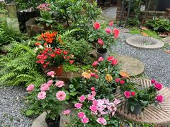 -谷咖啡·鲜花绿植花园餐厅