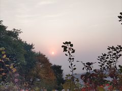 -香山公园