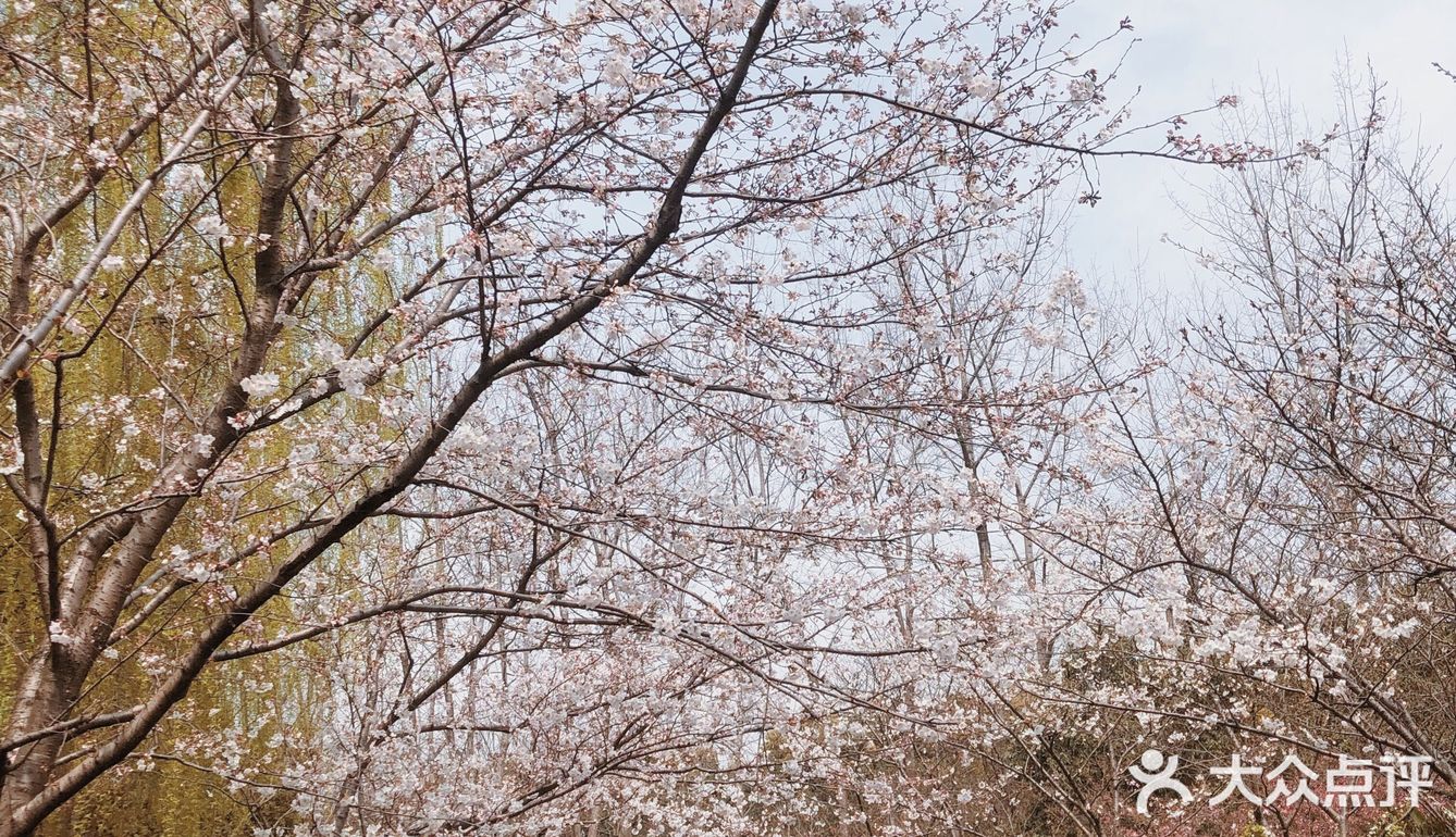 在草地上闲散的野餐是最好不过了