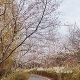 在草地上闲散的野餐是最好不过了