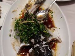 -东方御宴海鲜酒楼(棕泉酒店)