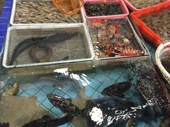 -霞涌市场海鲜摆卖区