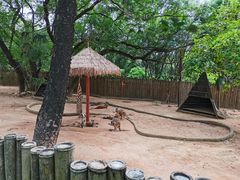 -深圳野生动物园
