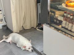 -悟白咖啡WoobyCafe