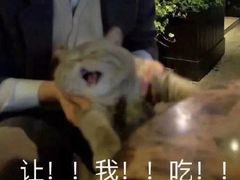-泡桐树孙二娘私房菜