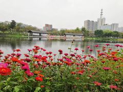 -映月湖公园