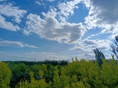 -东郊湿地公园