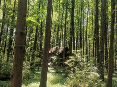 -同里国家湿地公园