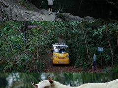 -马峦山郊野公园