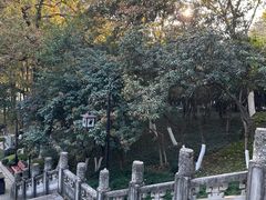 -楚望台遗址公园