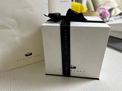 -BLACKSWAN黑天鹅(环球店)