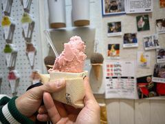 -野人先生现做冰淇淋(北京顺义祥云小镇店)