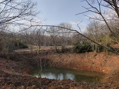 -南京市江宁方山