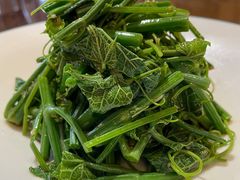 凉拌丝瓜尖-永乐饭庄(安德路店)