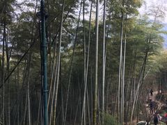 -径山寺