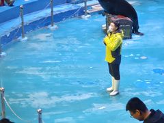 -烟台海昌鲸鲨海洋公园