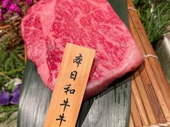 -老乾杯(深圳湾万象城店)