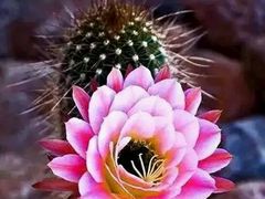 -兰陵国家农业公园