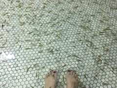 亲亲鱼-上海玛雅海滩水公园