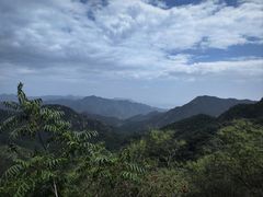 -大岭沟猕猴桃谷风景区