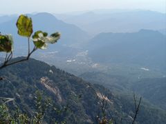 -鲁山国家森林公园