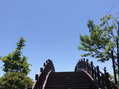 -渡海小渔村.老辈日照菜