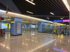 -大龙山(地铁站)