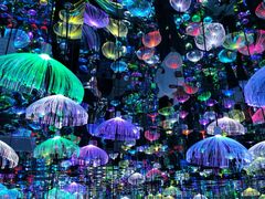 -天津梵高星空艺术馆(天河城旗舰店)