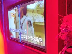 -方糖KTV-PLUS(世茂广场店)