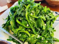 大豆苗-四川印象锦城里