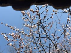 -云峰山自然风景区