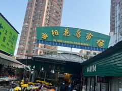 -曲阳花鸟市场(曲阳路店)