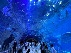 -华夏文旅海洋公园